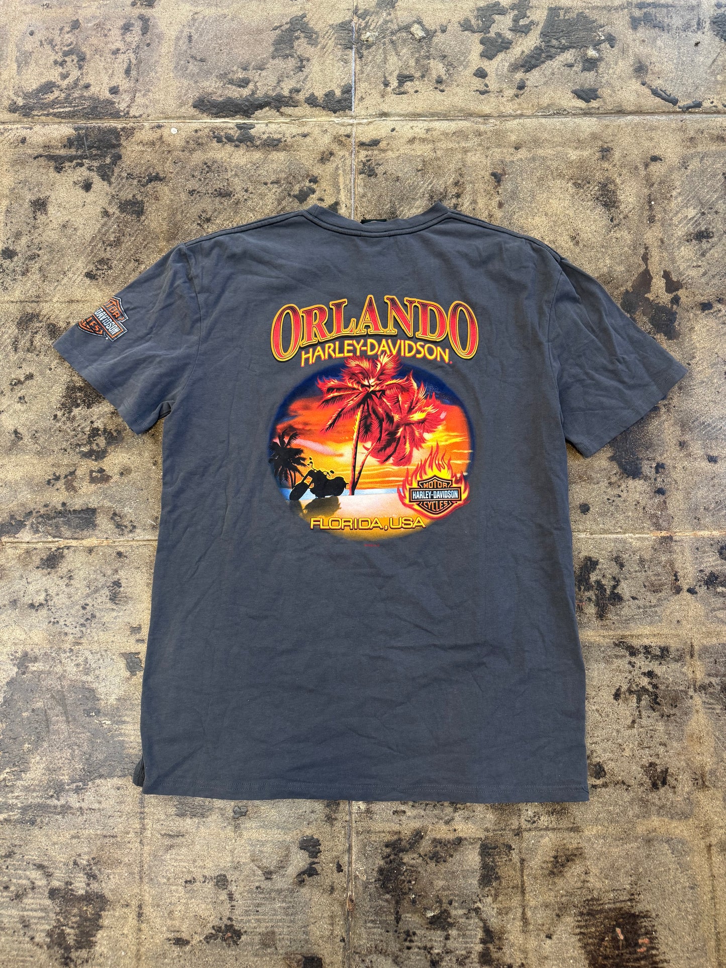 HARLEY DAVIDSON ORLANDO GREY TEE
