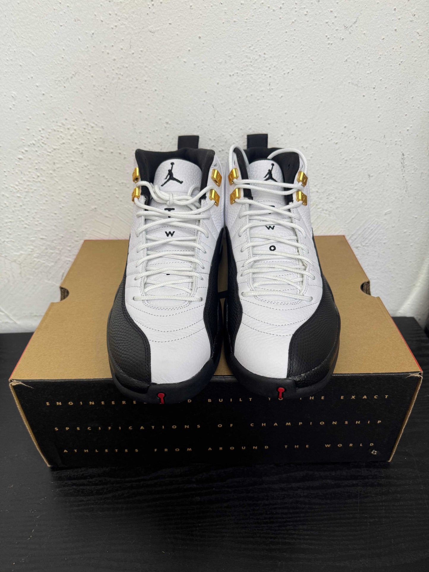 JORDAN 12 TAXI 2025