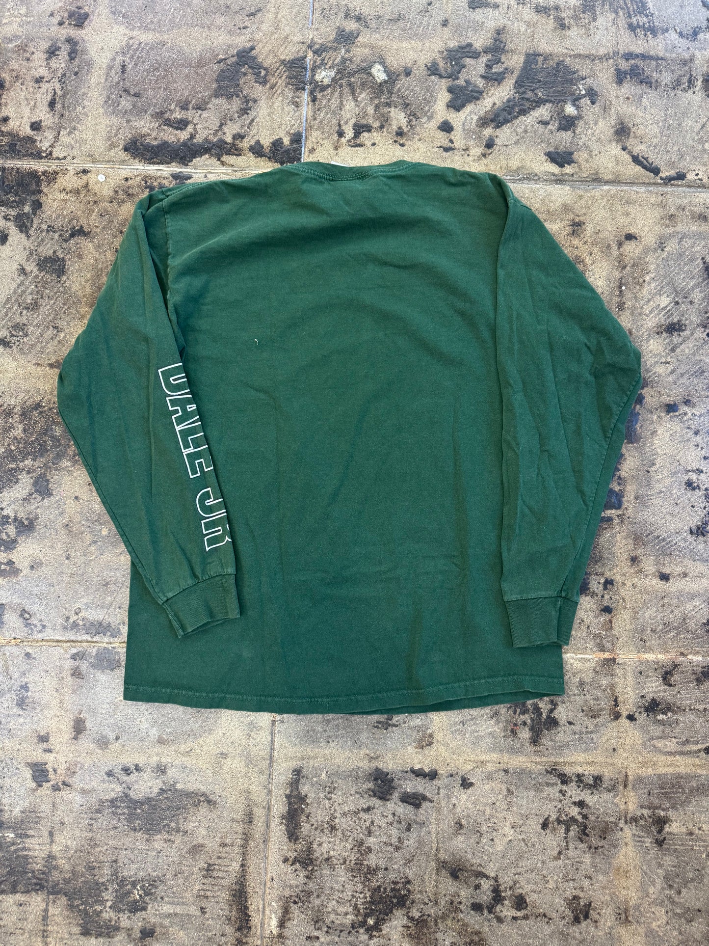 2009 DALE JR NASCAR GREEN L/S