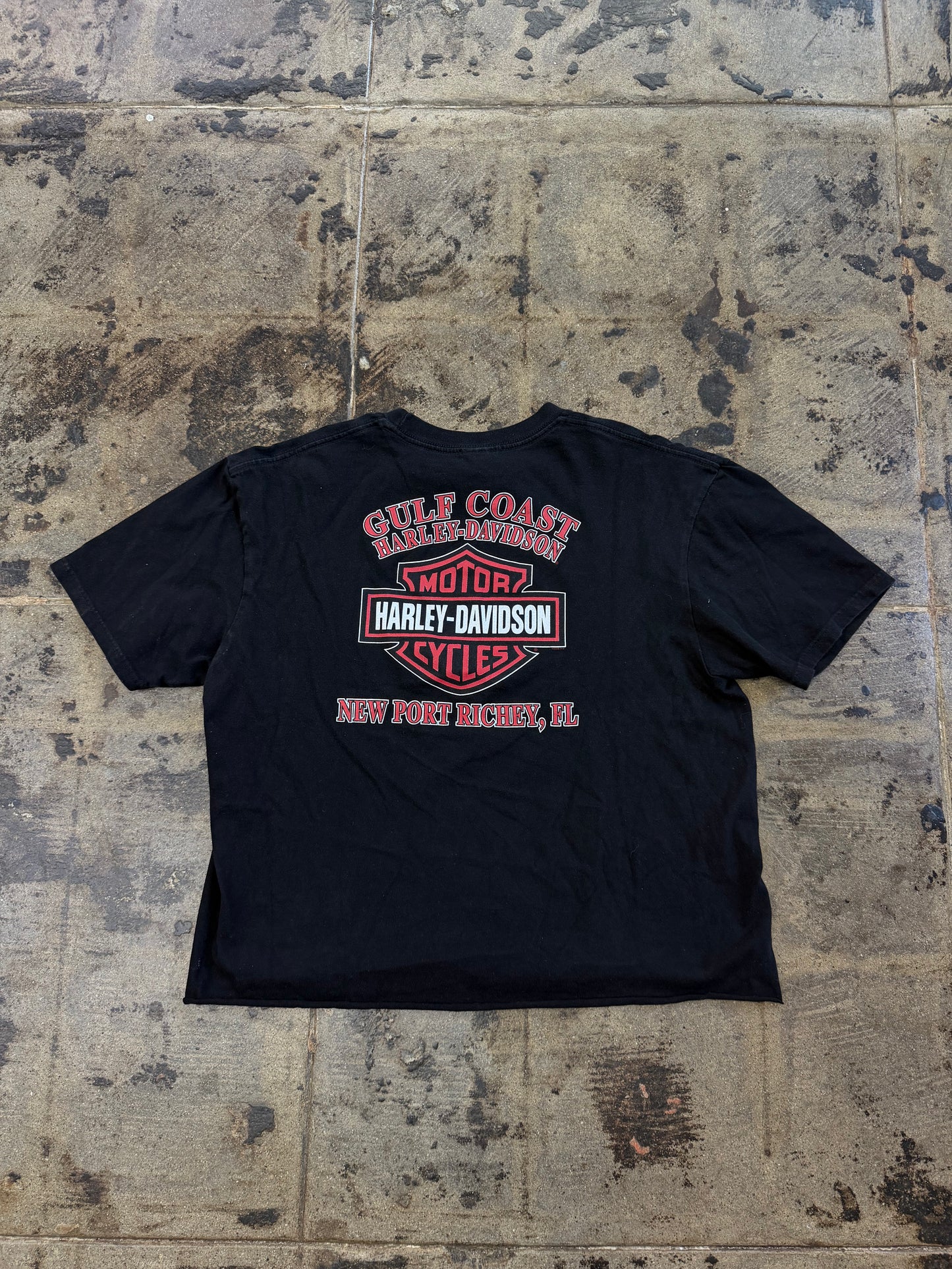 HARLEY DAVIDSON BIKE WITH PRIDE CROPPED TEE