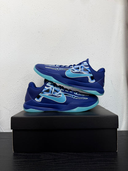 KOBE 5 XRAY
