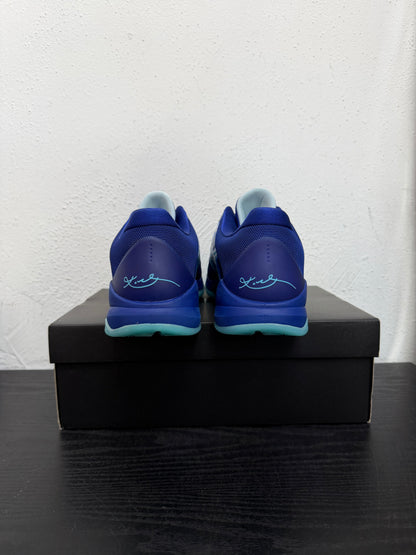 KOBE 5 XRAY