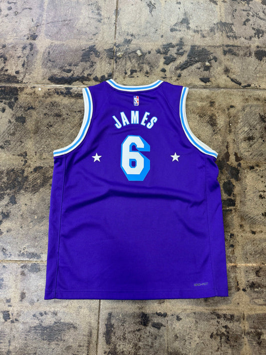 LA LAKERS LEBRON JAMES #6 PURPLE JERSEY (USED)