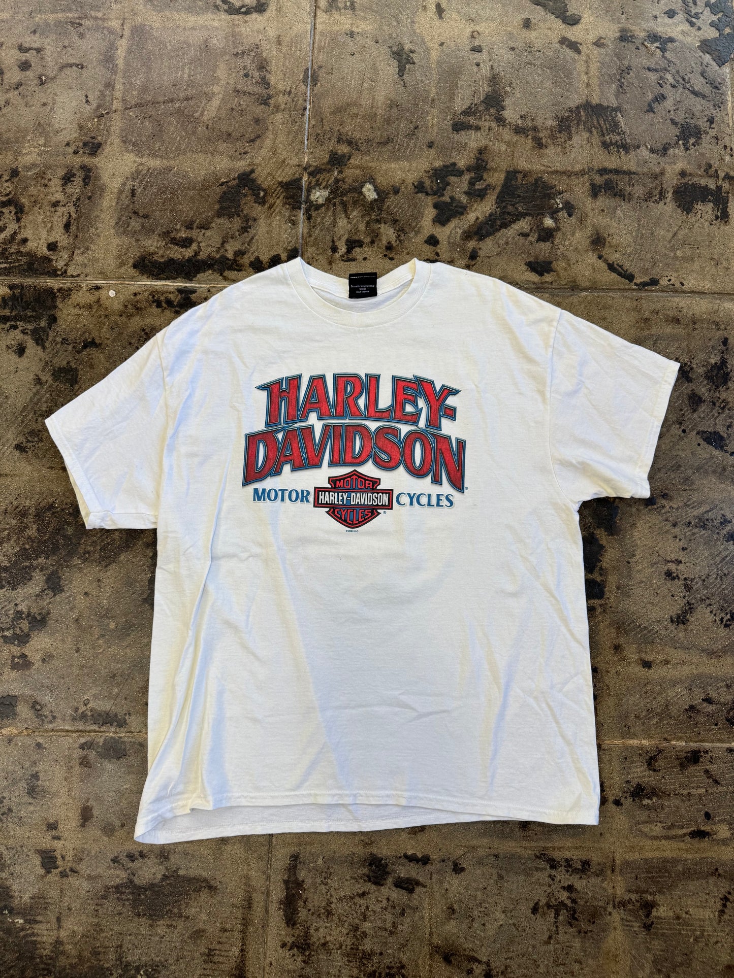HARLEY DAVIDSON APACHE JUNCTIONS ARIZONA TEE