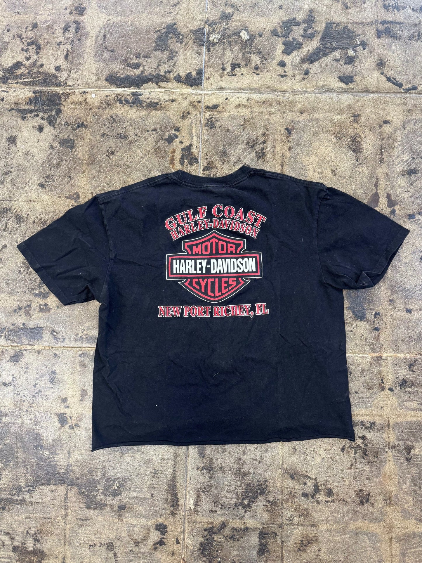 HARLEY DAVIDSON RIDE WITH PRIDE CROPPED TEE