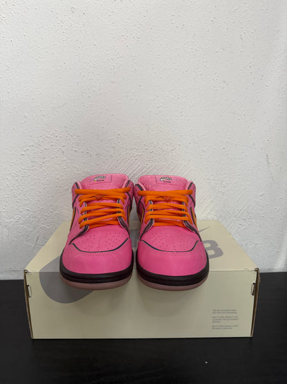 NIKE SB POWERPUFF GIRL BLOSSOM (USED)