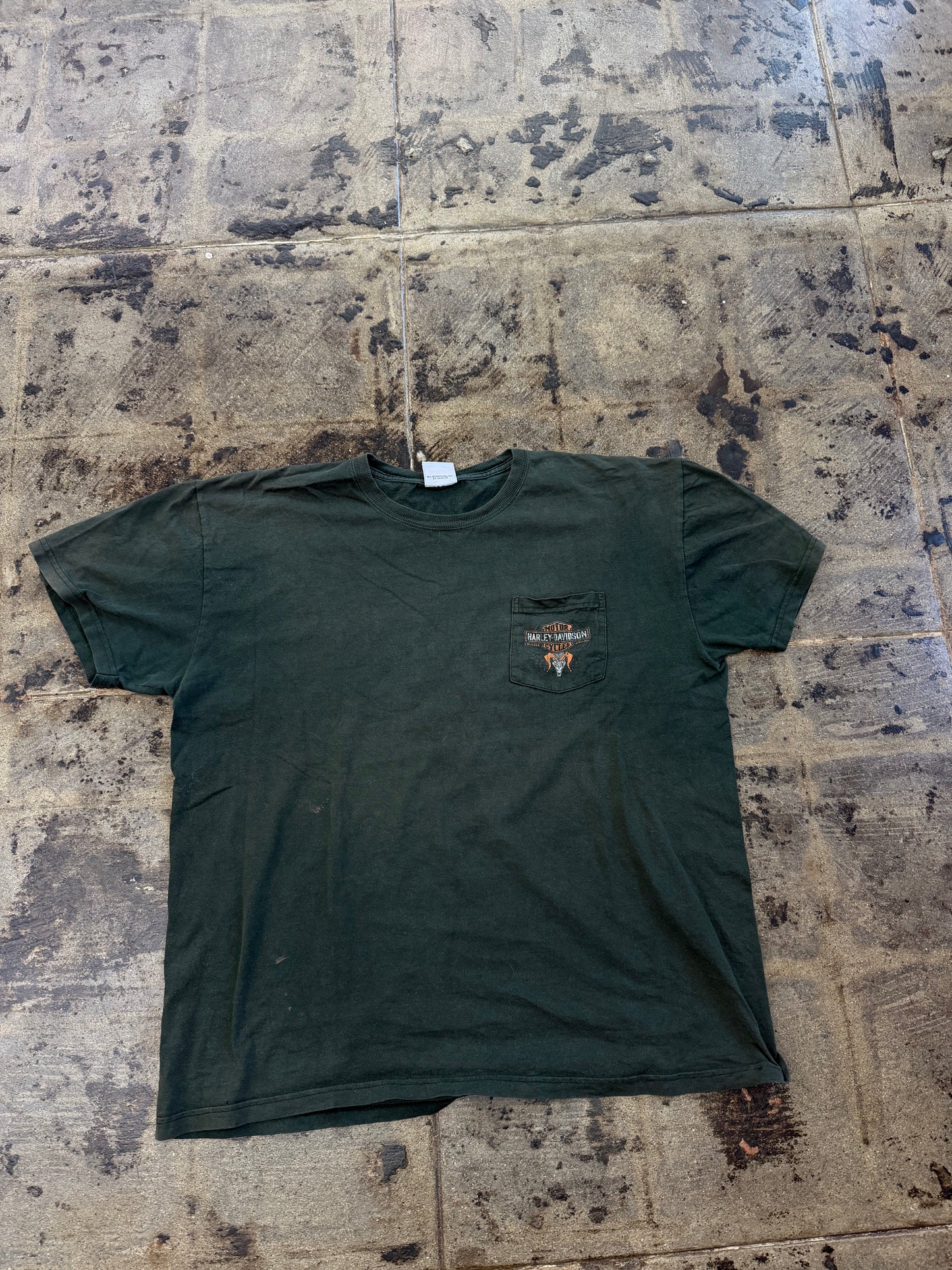 HARLEY DAVIDSON POCONO MTNS GREEN TEE