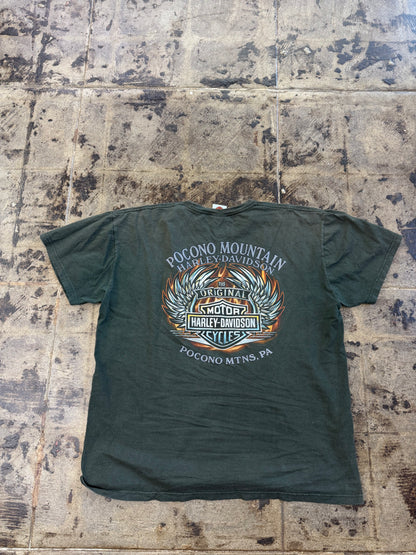 HARLEY DAVIDSON POCONO MTNS GREEN TEE