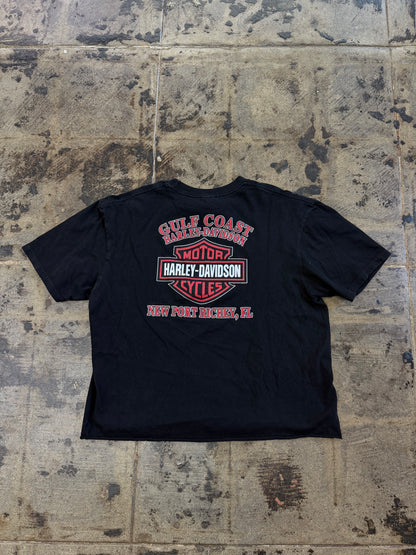 HARLEY DAVIDSON BIKE WITH PRIDE CROPPED TEE