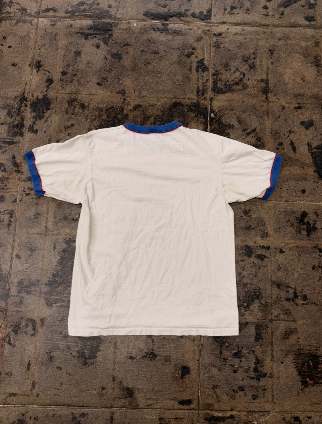 DISNEY WORLD FEST T